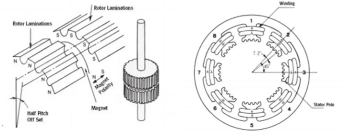Figura 11: Vista detallada del rotor (esquerra) i de l'estator d'un motor pas a pas híbrid  El funcionament és el següent: 