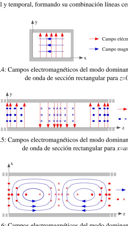Fig. 4.4: Campos electromagnéticos del modo dominante dentro de una guía  de onda de sección rectangular para z=0, t=0