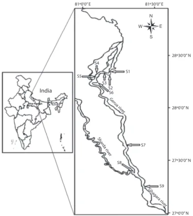 Fig. 1. River Gerua showing sampling sites (S1-S9).
