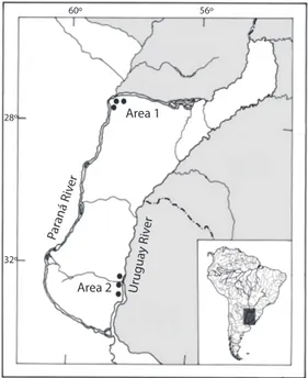 Fig. 1. Study area at the Northeastern Argentina with  approximated location of the six shallow lakes used as  sampling sites to feeding evaluation of Pseudopalaemon  bouvieri at Paraná River (area 1) and the Uruguay River  (area 2)
