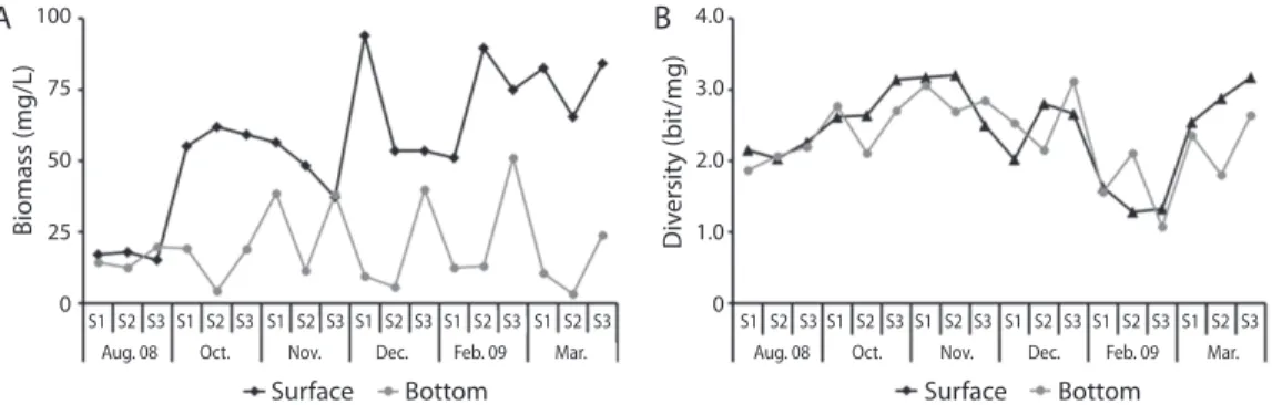 Fig. 5. Spatial and temporal variation in total biomass (a) and species diversity (b) of phytoplankton in Jucazinho reservoir  in rainy (Aug 08, Feb and Mar 09) and dry (Oct, Nov and Dec 08) seasons; a and c - surface data; b and d - bottom data.