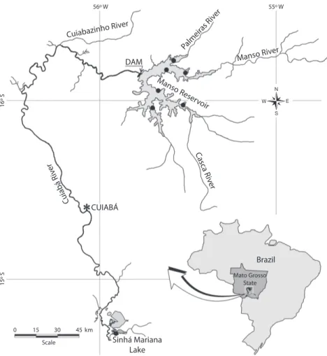 Fig. 1. Location of the sampling site (•) in the Manso reservoir and Sinhá Mariana floodplain lake, Manso/Cuiabá River,  Brazil