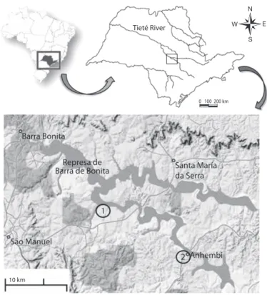Fig. 1. Barra Bonita Reservoir with detail for the fishing landing sites where the  samples were made: (1) Rio Bonito and (2) Anhembi.