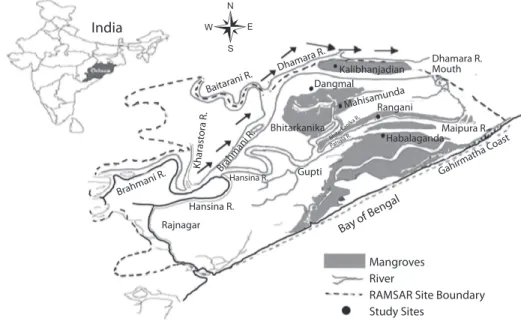Fig. 1. Bhitarkanika study sites ( • ), Arrow mark indicates the direction of water flow in the river ( )