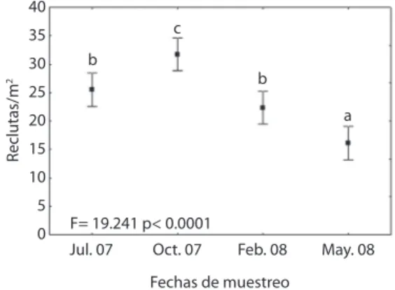 Fig. 5. variation of the mean recruit density during the  sampling period. Letters show significant differences  according SNK analysis.4035302520151050b a aa bReclutas/m2F= 7.248 p&lt; 0.00008Sitios
