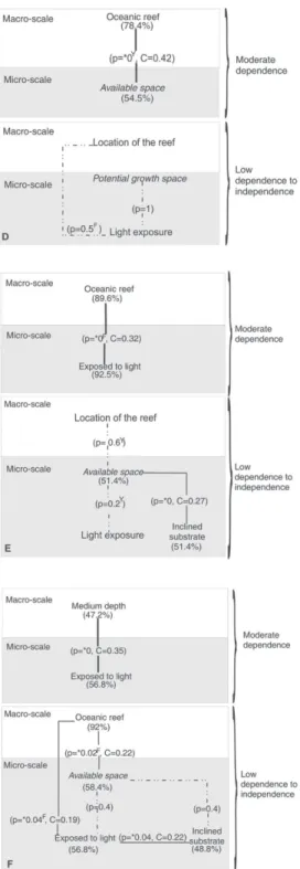 Fig. 4. Dependency relationship between habitat variables and the frequency of juveniles by species that displayed the  least number of dependences and recruit in a wide range of habitat conditions