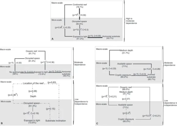 Fig. 3. Dependency relationship between habitat variables and the frequency of juveniles by species for the first group  of species with the most dependences in respect to the macro and micro-habitat variables