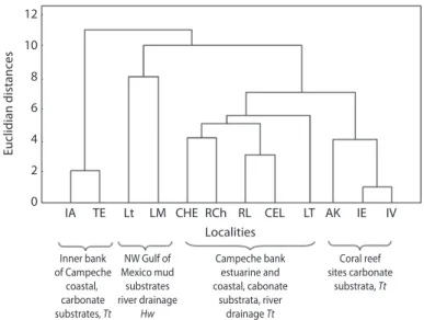 Fig. 2. Cluster analysis using unweighted pair-group centroid for the 12 seagrass localities during survey