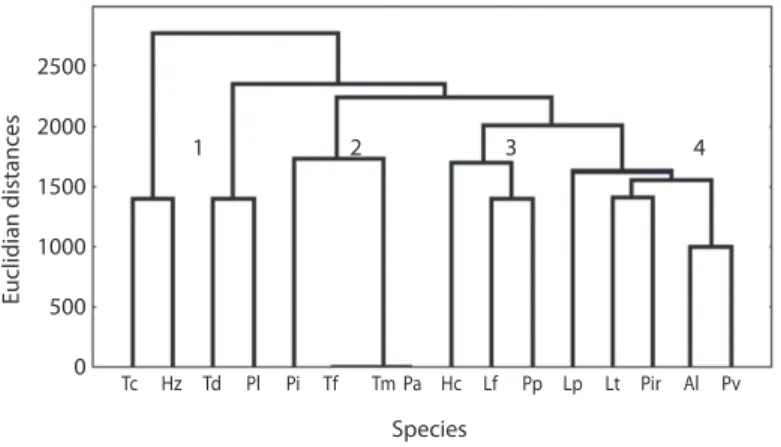 Fig. 5. Cluster analysis using unweighted pair-group centroid for the 16 species of Caridean shrimp collected in seagrass  localities during survey.