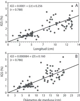 Fig. 1. Relación de la fecundidad (número de ovocitos  vitelogénicos/gónada) con longitud (A), diámetro (B) y  peso húmedo (C) de Stomolophus meleagris.