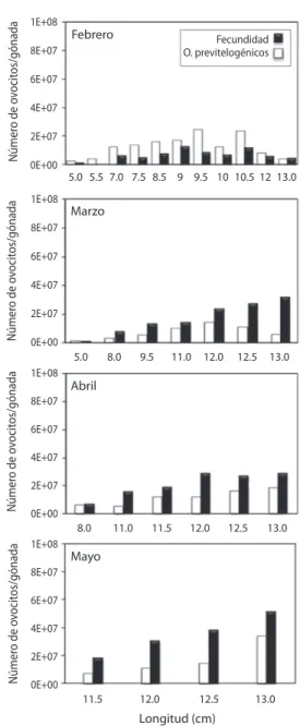 Fig. 3. Medias de fecundidad (número de ovocitos  vitelogénicos/gónada) y medias de porcentaje del índice  gonadosomático (IGS) de la medusa Stomolophus  meleagris, durante el periodo febrero-mayo 2006