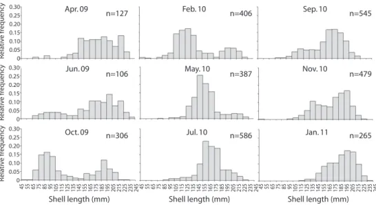 Fig. 2. Histograms showing relative frequency of abundance per size class, modal progression and recruitment patterns of  queen conch S.gigas sampled at Xel-Ha, Mexico, between April 2004 and January 2011.