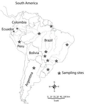 Fig. 1. Regions of South America included in the  sampling sites. South AmericaColombiaEcuador BrazilPeruBolivia Sampling sitesArgentina0   10  20  30  40  100 kmScale