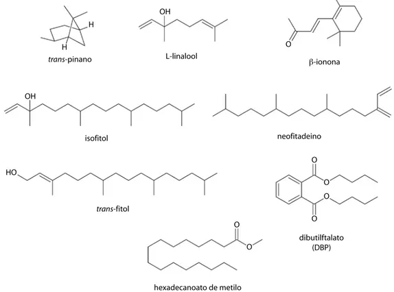 Fig. 2. Fórmula (representación) estructural de los metabolitos volátiles comunes en las esencias de tres de las especies  estudiadas.