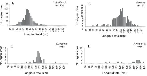 Fig. 2. Seasonal abundance changes for A) C. falciformis,  B) S. zygaena, A. pelagicus and P