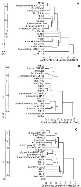 Fig. 2. Dendrogramas UPGMA de los rizobios autóctonos y de referencia relativos a: (A) utilización de fuentes carbonadas  y nitrogenadas, producción de ácido o álcali y crecimiento bacteriano en medio LB