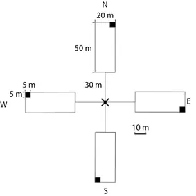 Fig. 1. Sample unit of iFFSC, composed by four crosswise  1 000m² plots (20x50m), at 30m distance from centre point.