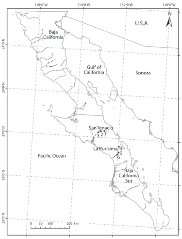Fig. 1. San ignacio and La Purísima drainages and sampling sites (1: Poza Larga; 2: Los Corralitos; 3: San Sabas; 4: Ojo de  Agua; 5: Presa Carambuche; 6: El Pilón) within the Baja California península (Mexico).