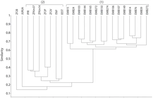 Fig. 5. Dendrogram of 24 1-ha sized plots in tropical rainforests in the state of Amazonas, Brazil, using Sorensen’s similarity  index, clustered by the unweighted pair-group average (UPGMA) method