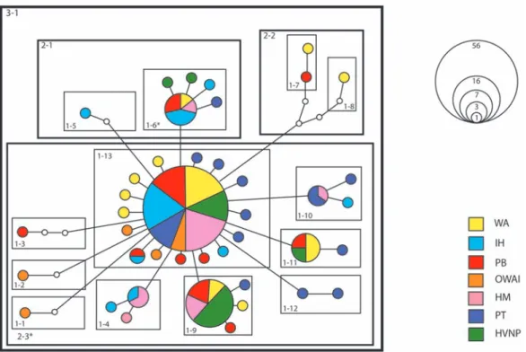 Fig.  2.  Haplotype  network  depicting  the  nesting  levels  used  to  infer  meaning  behind  phylogeographic  significance  in  Metabetaeus lohena populations in the Hawaiian Islands