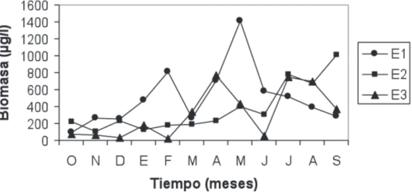 Fig. 8. Variaciones temporales en la biomasa total del zooplancton en las tres estaciones de muestreo.