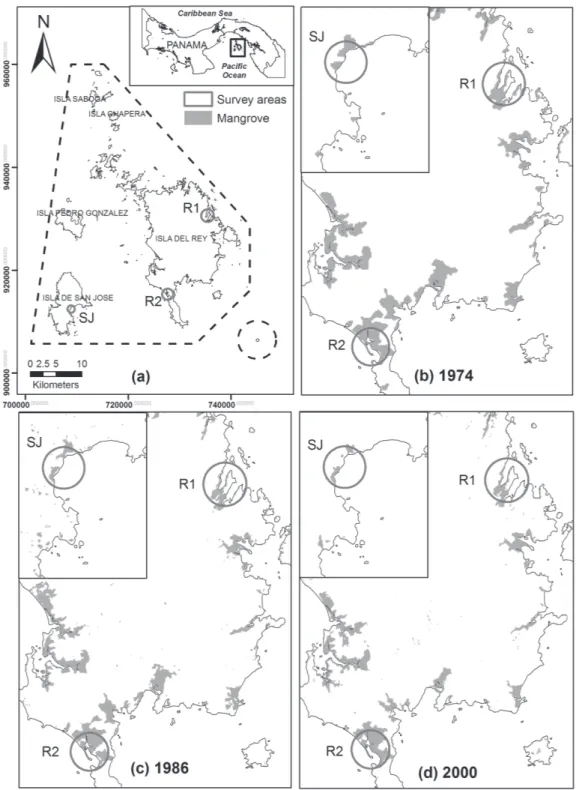 Fig. 1. A. The location of Las Perlas Archipelago in Pacific Panama and the survey sites for this study as indicated; (B.-D.)  the distribution and decline of mangrove forest areas in the archipelago since 1974 mapped using Landsat satellite images.