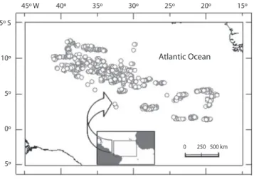 Fig. 1. Map of the sampling area and sampling sites for bigeye tuna in the central Atlantic Ocean from October 2002 to July  2003 and from August 2004 to March 2005.