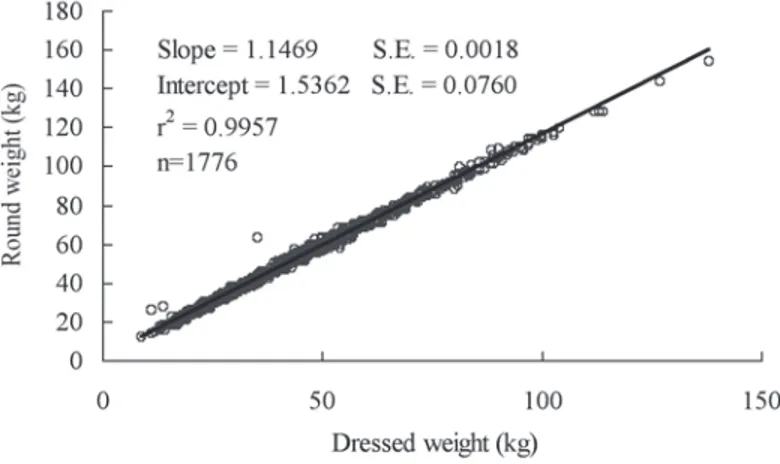 Fig. 2. Linear relationship between dressed weight and round weight for bigeye tuna in the central Atlantic Ocean from  October 2002 to July 2003 and from August 2004 to March 2005.