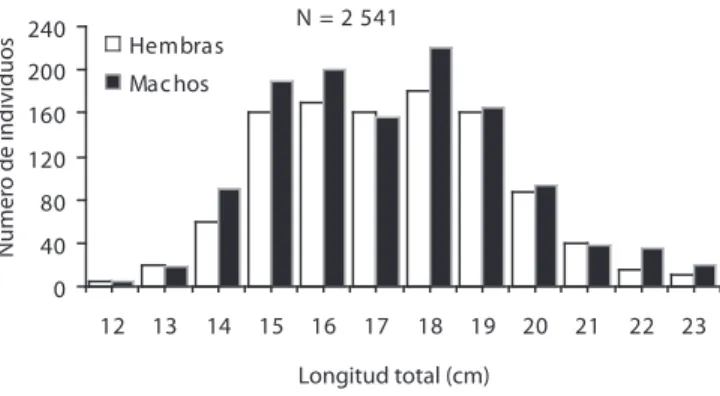 Fig. 2. Distribución de longitudes del cují (H. aurolineatum) del suroeste de la isla de Margarita, Venezuela