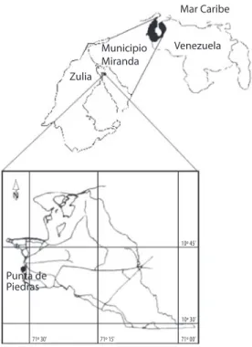 Fig. 1. Localización del área de estudio.