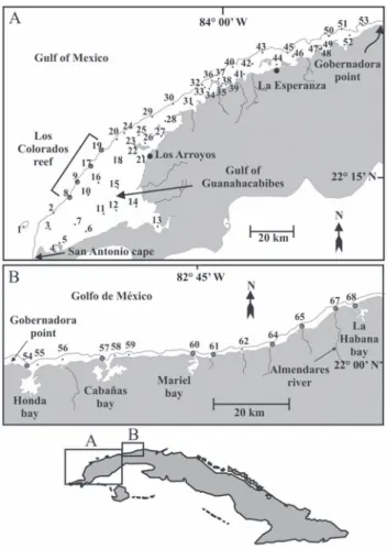 Fig. 1. Western (A) and eastern (B) subregions of the NW region of the Cuban shelf. The network of fixed sampling stations  is shown