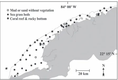 Fig. 2. Main substrate types found in the western subregion of the Cuban NW region. Symbols are located at fish sampling  stations.