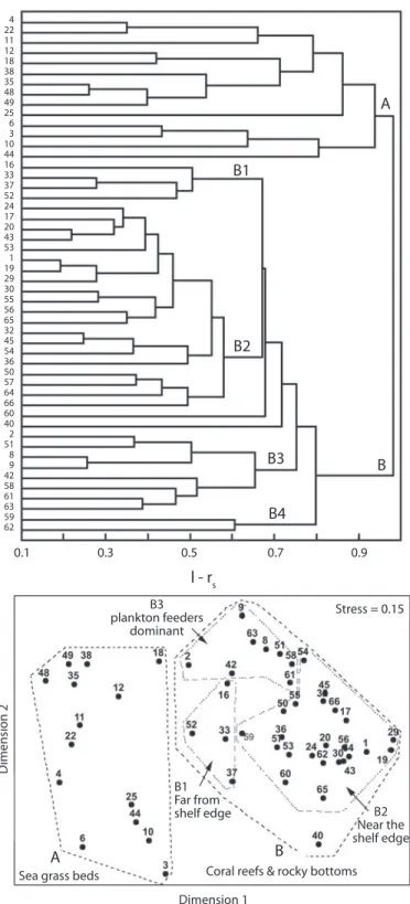 Fig. 4. Dendrogram and 2 first dimensions diagram of a 3 dimensions MDS ordination for the stations in the whole Cuban  NW region