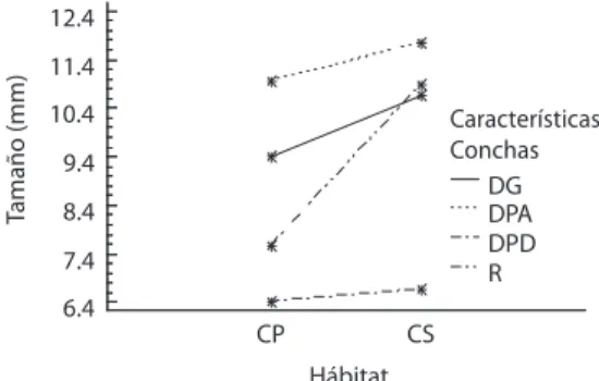 Fig. 3. Abundance of empty shells relative to several char- char-acteristics and habitats (CP: main reach; CS: side reach)