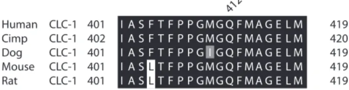 Fig.  4. Alignment  of  the  CLC-1  chloride  channel  among  different  species  in  the  region  of  the  exon  11  mutation