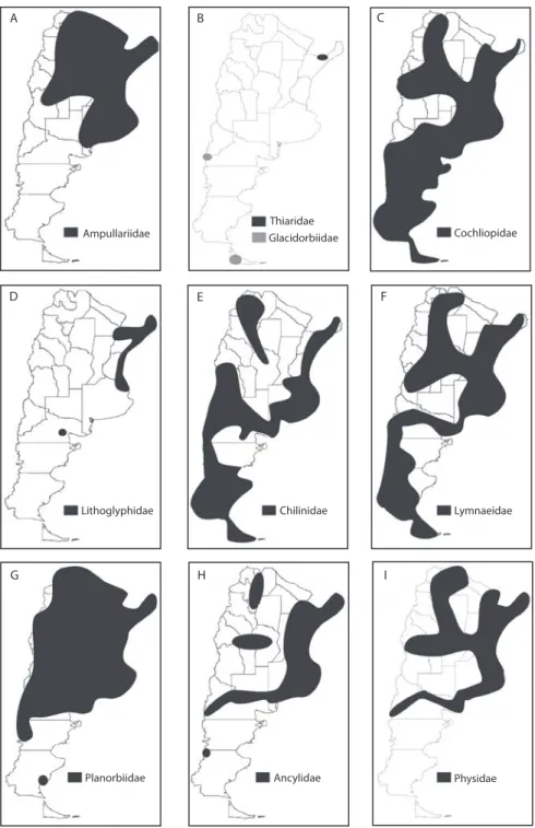 Fig. 2. Distribución de cada familia de Gastropoda dulceacuícolas en la República Argentina.