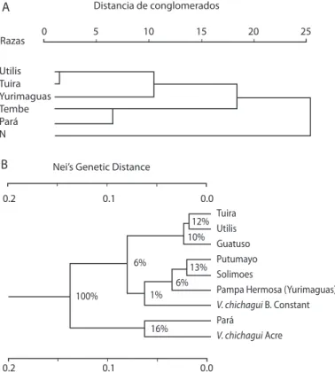Fig. 3. Relación genética entre poblaciones de pejibaye propuestas por otros autores: (A) Basado en isoenzimas (Rojas et al