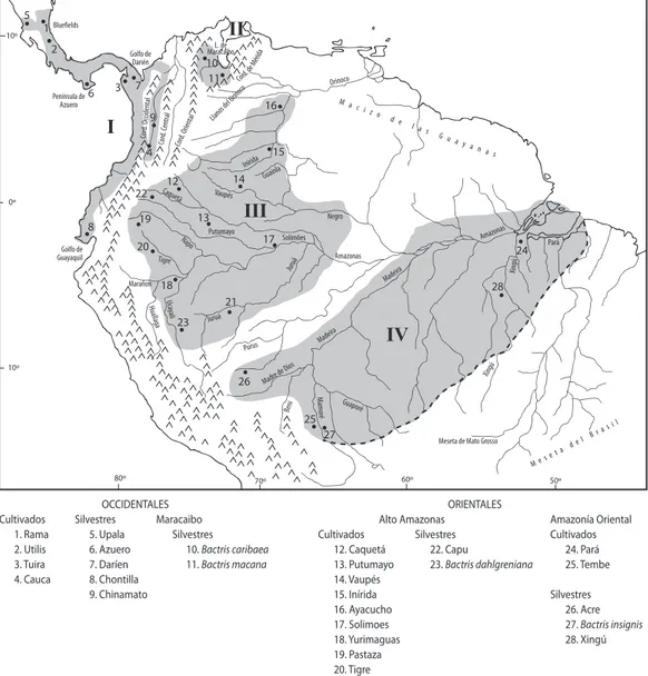 Fig. 5. Distribución geográfica de las poblaciones silvestres y razas de pejibaye. Principales familias: (I) Occidentales, (II)  Maracaibo, (III) Alto Amazonas, y (Iv) Amazonía Oriental (Frontera Sureste representada por la línea discontinua es  inci-erta)