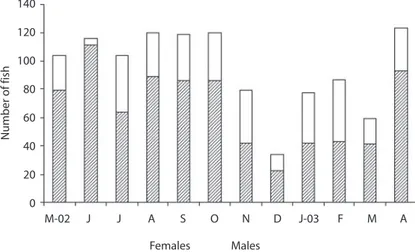 Fig. 1. Sex ratio at monthly periods for P. gracilis.