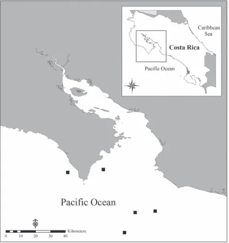 Fig. 1. Study site. The black squares indicate trawling fishing stations in the central Pacific of Costa Rica where threadfin  anglerfish (Lophiodes spilurus) specimens were collected