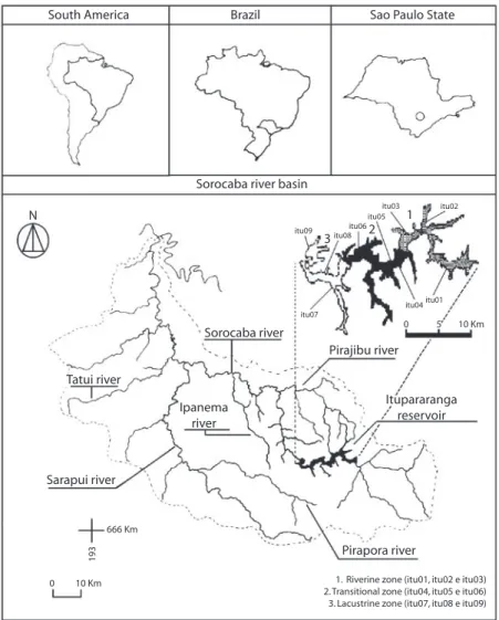 Fig. 1. The Sorocaba River basin, showing the location of the Itupararanga reservoir and the sampling stations.