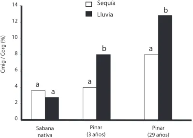 Fig. 4. Efecto de la variabilidad temporal sobre la relación Cmic/Corg presente en la sabana nativa y las plantaciones de pino  de los llanos orientales Venezuela