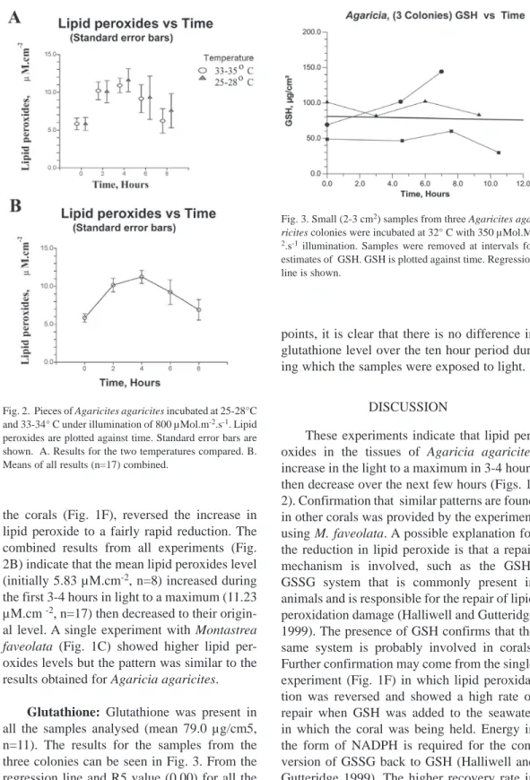 Fig. 3. Small (2-3 cm 2 ) samples from three Agaricites aga- aga-ricites colonies were incubated at 32° C with 350 μMol.M 