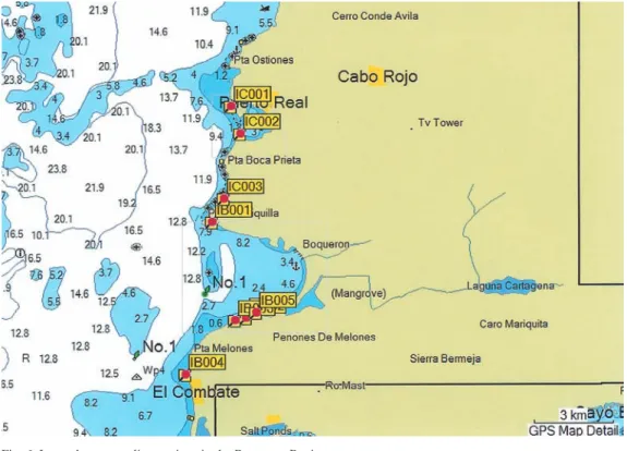 Fig. 7. Invertebrate sampling stations in the La Parguera area.