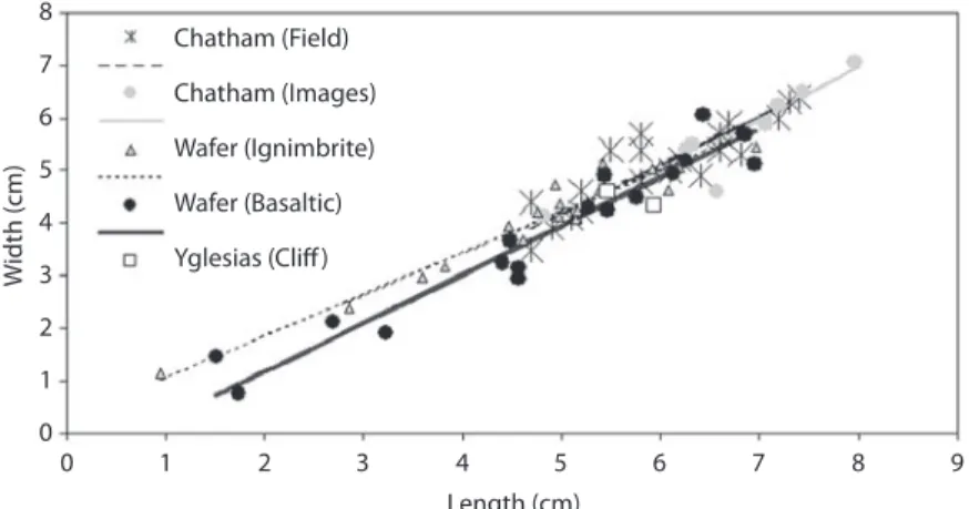 Fig. 4. Size-frequency distribution of Siphonaria gigas and normal fit for juvenile and adults