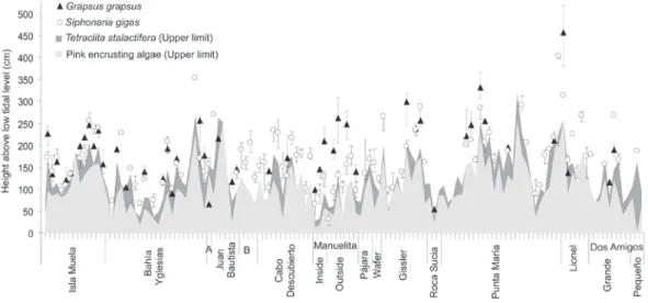 Fig. 5. Median height for some species in the intertidal walls images samples of the cliffs at Cocos Island