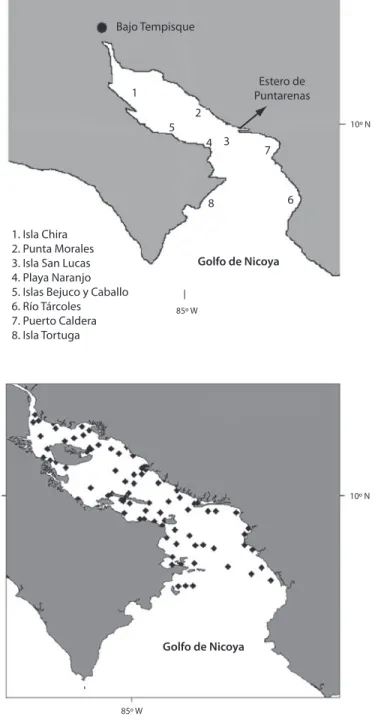 Fig. 3. Posiciones de muestreo en el Golfo de Nicoya, costa del Pacífico de Costa Rica (2003, 2004).10º N10º N85º W85º WGolfo de Nicoya1