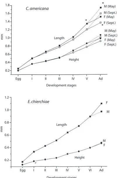 Fig. 3. Biometrical relationships for both ostracods species, development stages, and season, Golfo Dulce, Costa Rica, 1995