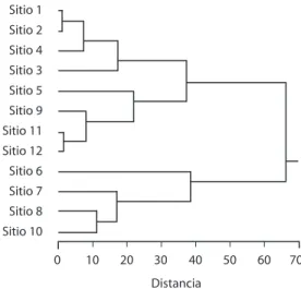 Fig. 1.  Dendrograma de clasificación de sitios.