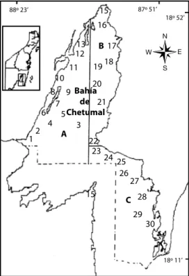 Fig.  1.  Ubicación  de  las  30  estaciones  de  muestreo  en  tres  sectores  de  la  Bahía  de  Chetumal